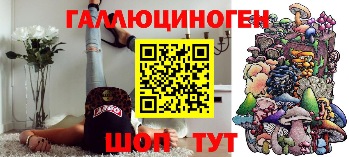Родники  Псилоцибиновые грибы Psilocybine cubensis  Вход с VPN  Галлюциногенные грибы Psilocybe 